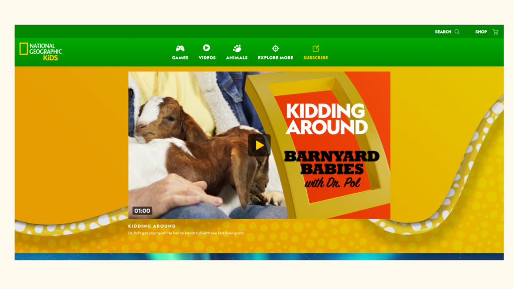 Best Educational Resources