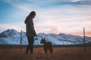 dog, girl, fence-1867604.jpg