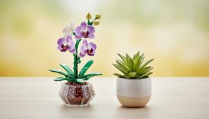 gifts for plant mom